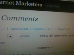 Blog Comment Spam