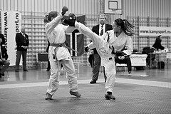 Karate Norgesmesterskap 2010