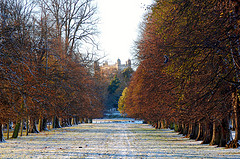 Wollaton Hall and Park