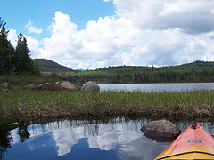 Exploring Marshy End of Cheney Pond