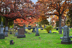 Fall scene in Forest Hills Cemetary, Madison, WI, October, 2011