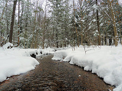 Stream from Foot Bridge