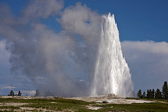 Old Faithful erupting