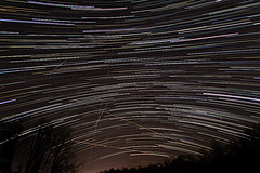 Geminids in Flight