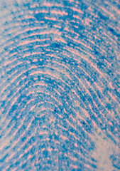 fingerprint