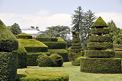 Longwood Gardens - Manicured Garden